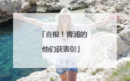 喜报！青浦的他们获表彰